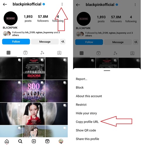 How To Copy The Instagram Profile/ Username Link?